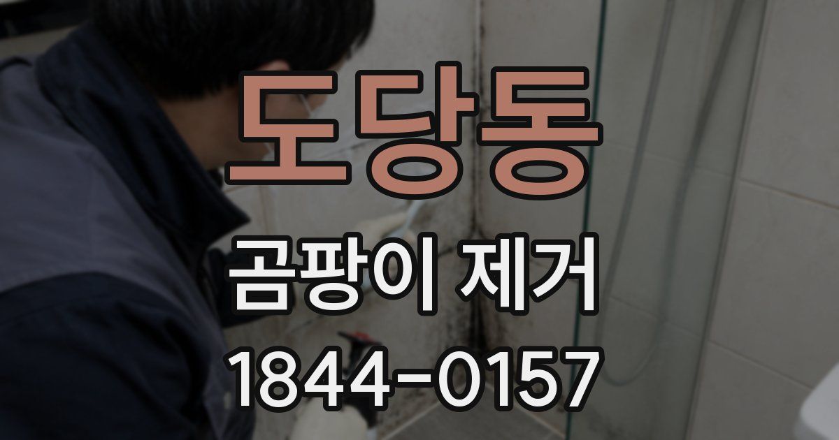도당동 곰팡이 제거