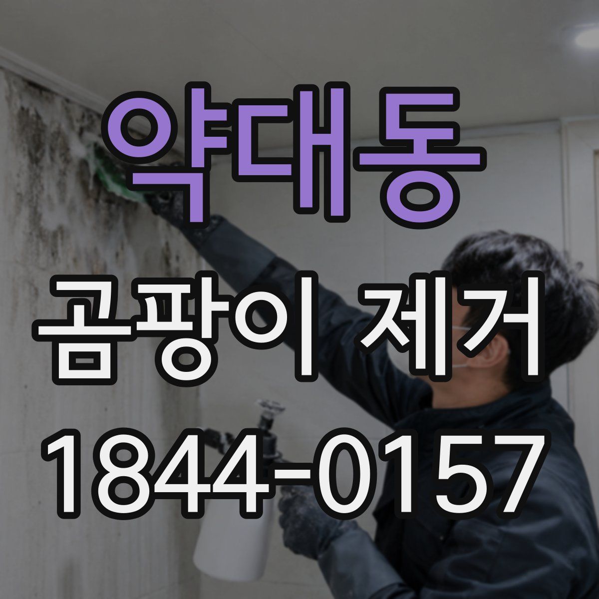 약대동 곰팡이 제거