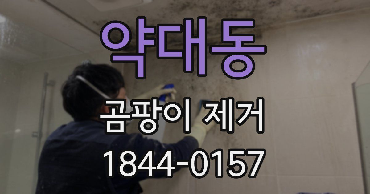 약대동 곰팡이 제거