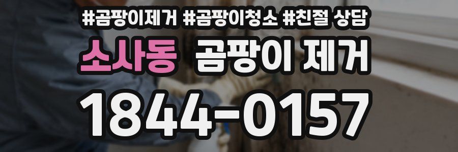 소사동 곰팡이 제거