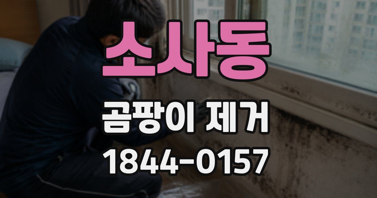 소사동 곰팡이 제거