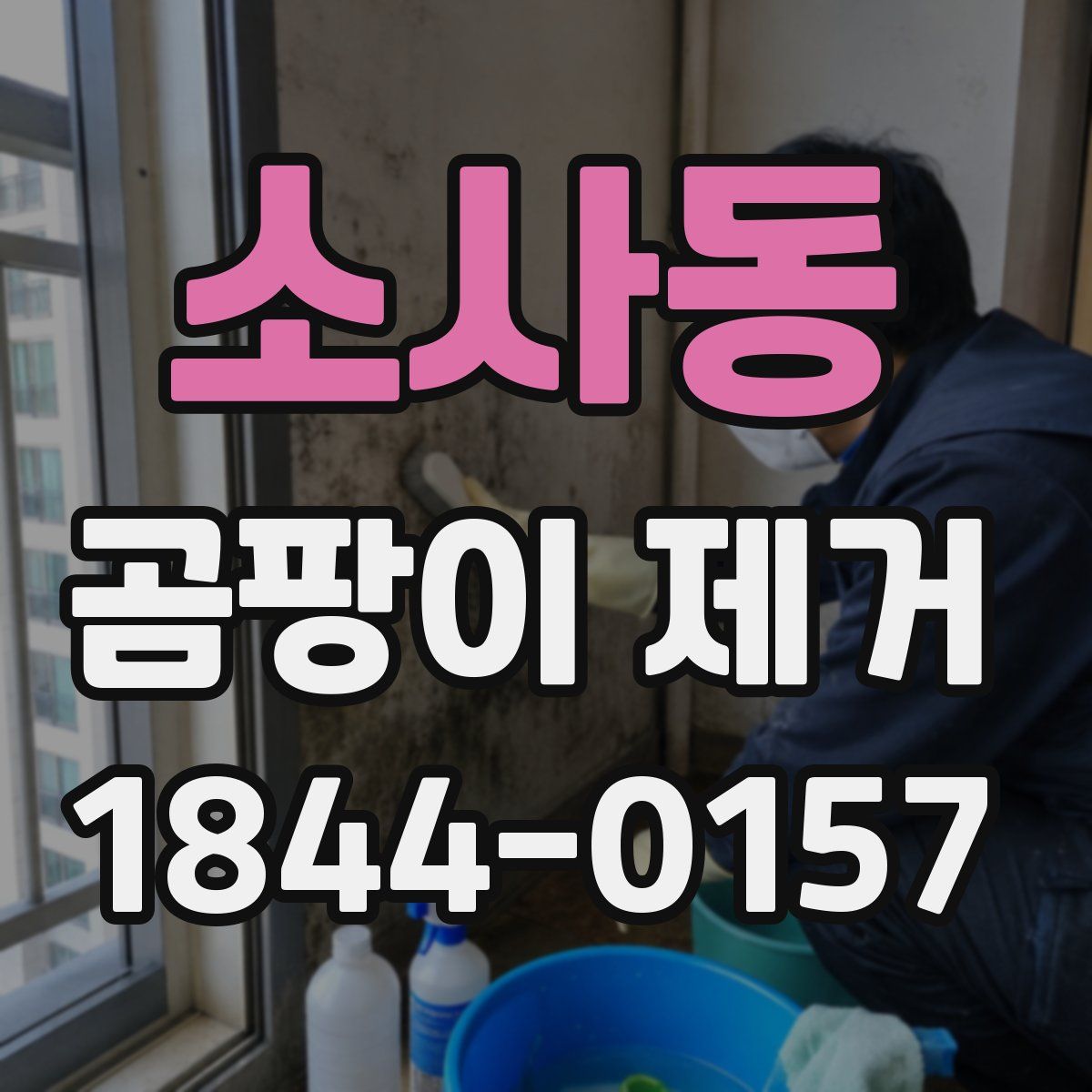 소사동 곰팡이 제거