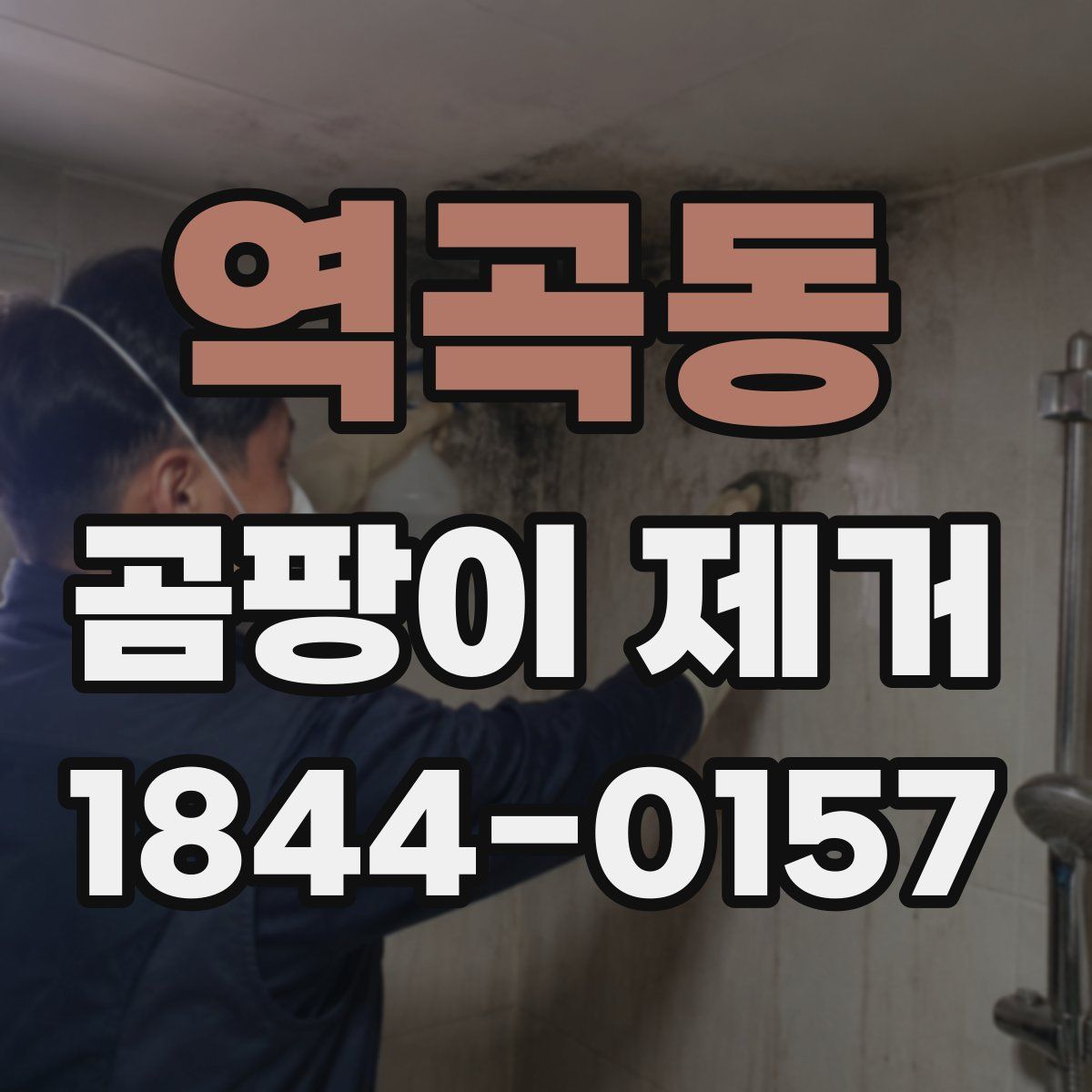 역곡동 곰팡이 제거