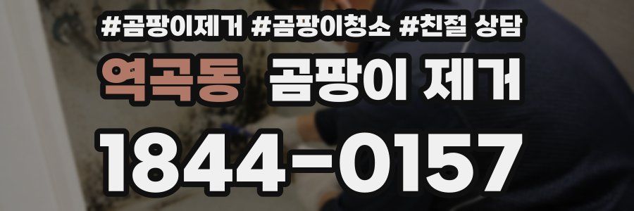 역곡동 곰팡이 제거