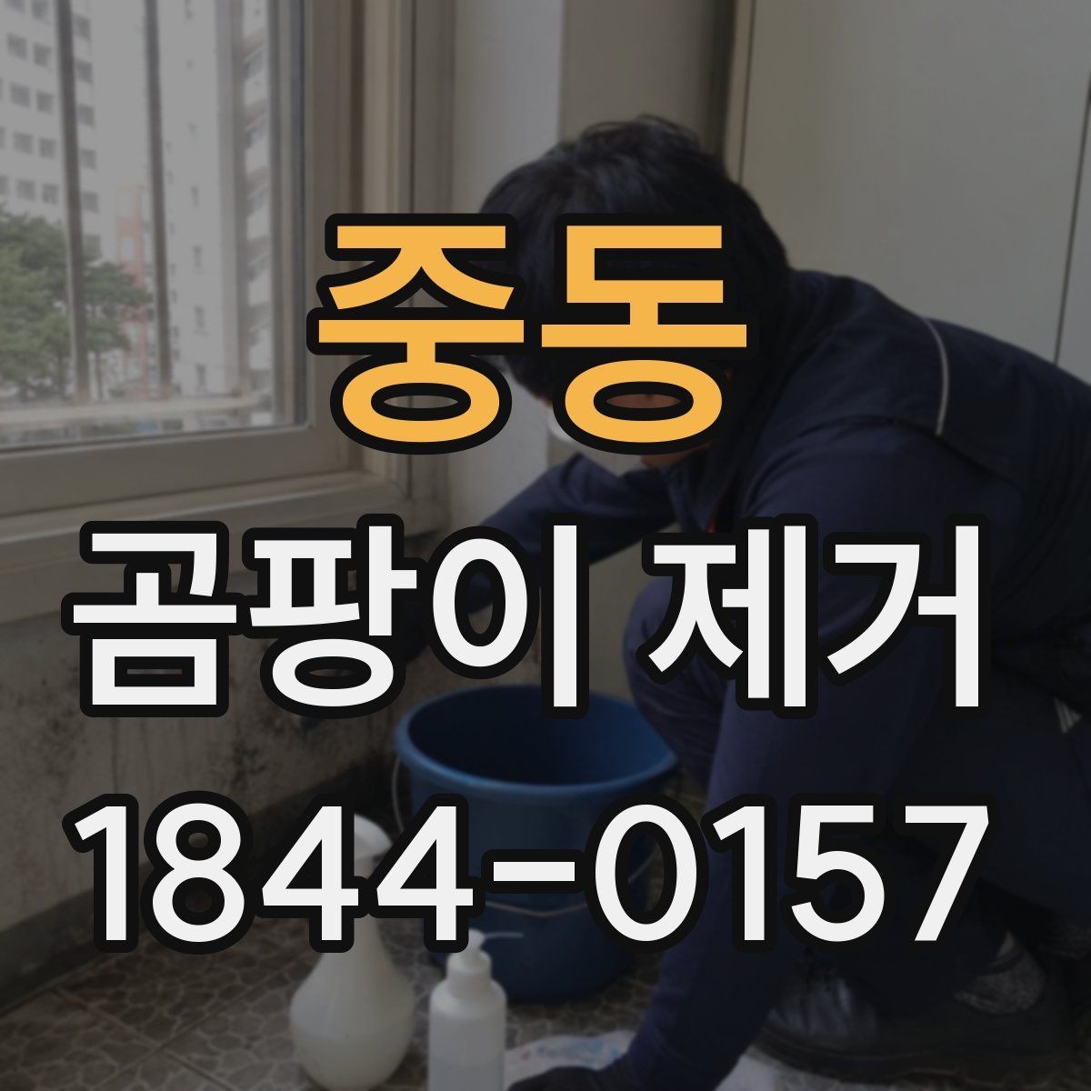 중동 곰팡이 제거 숨은 곰팡이까지 찾는 점검 요령