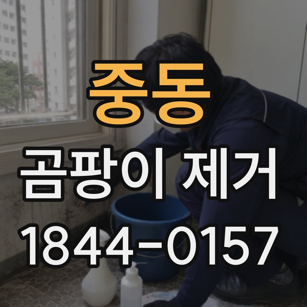 중동 곰팡이 제거