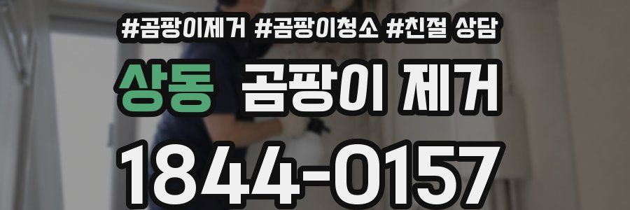 상동 곰팡이 제거