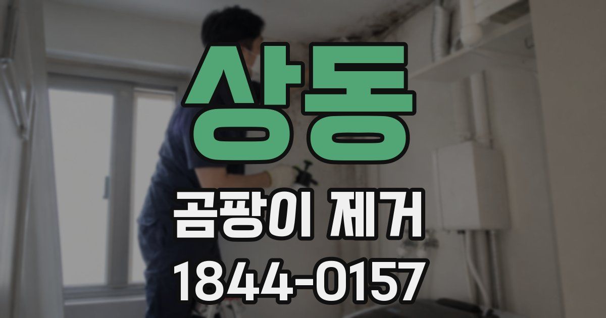 상동 곰팡이 제거