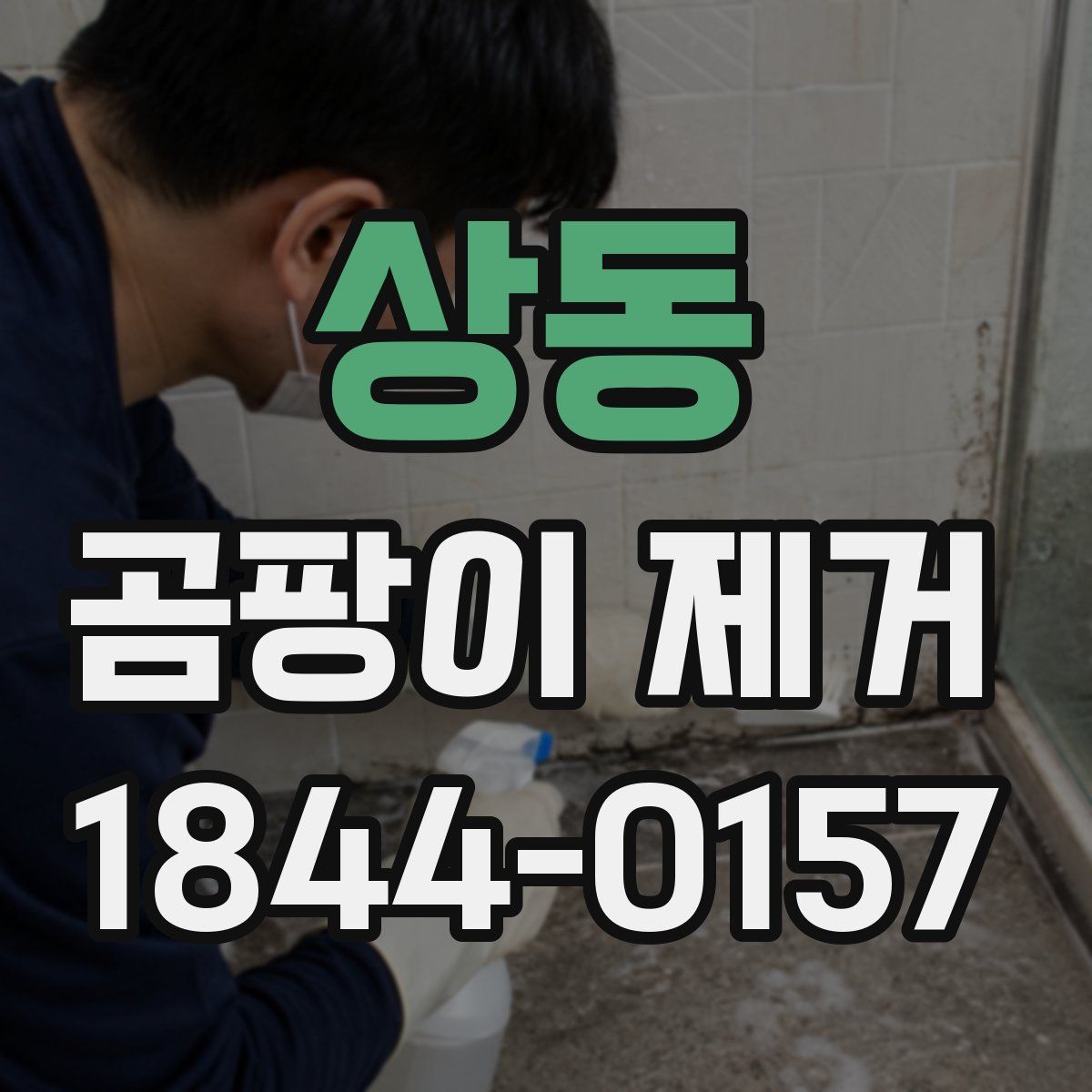 상동 곰팡이 제거