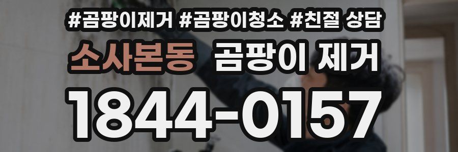 소사본동 곰팡이 제거
