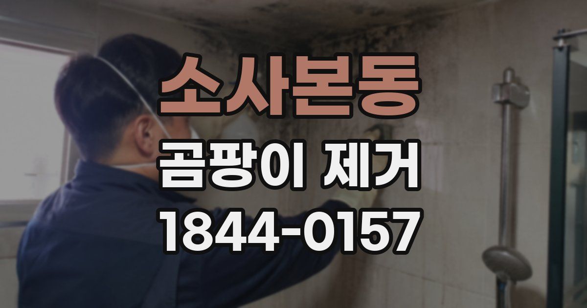 소사본동 곰팡이 제거