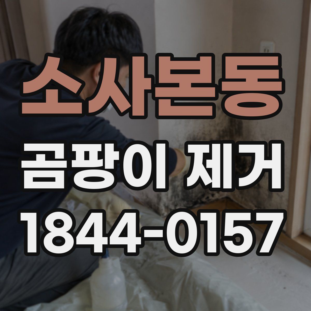소사본동 곰팡이 제거