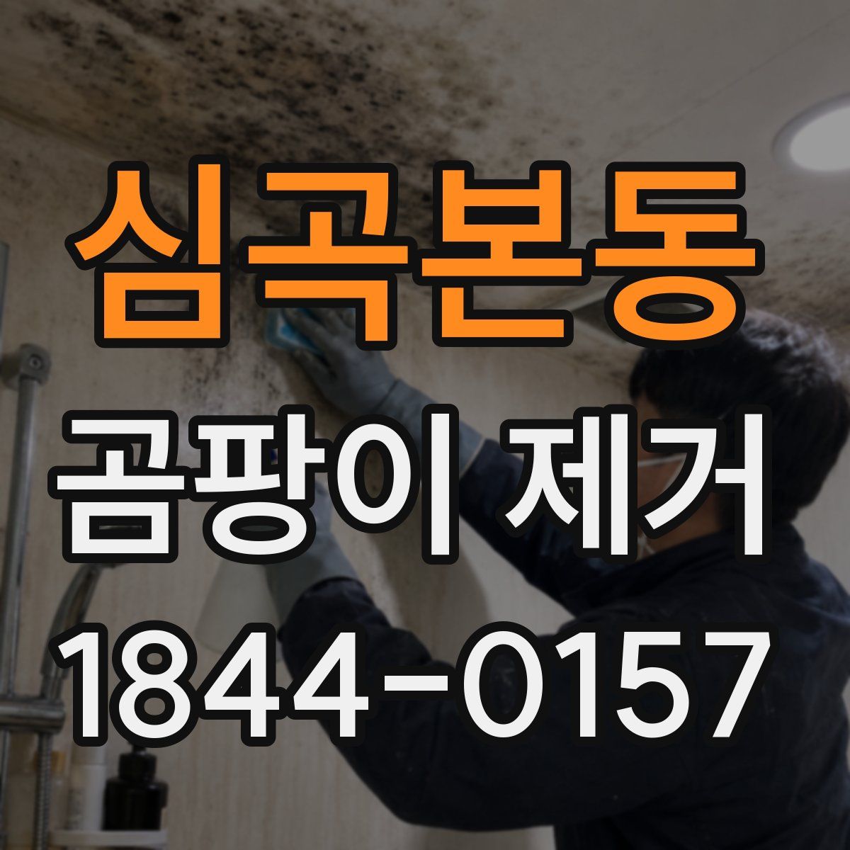 심곡본동 곰팡이 제거