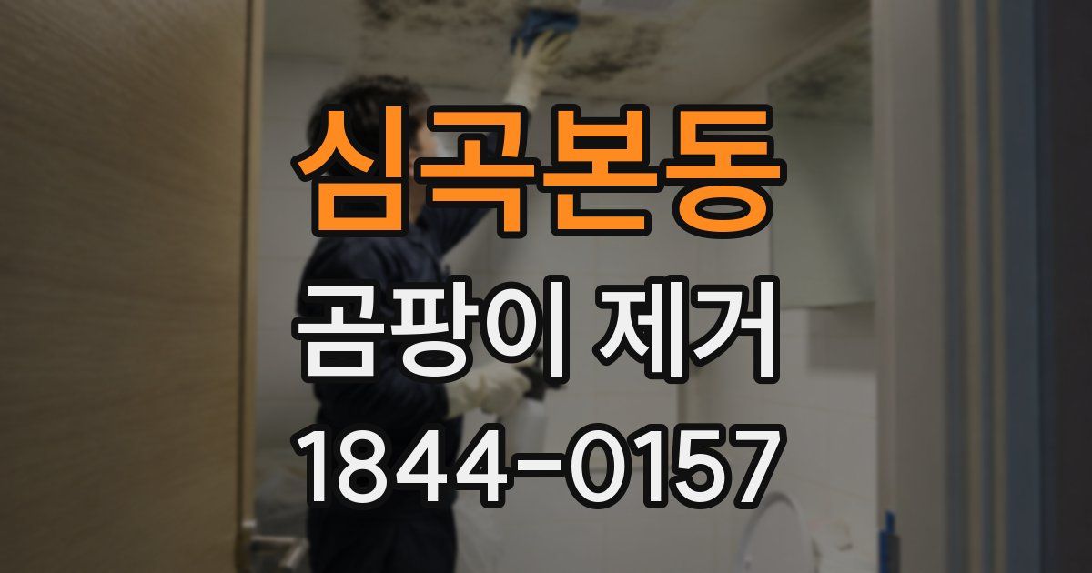 심곡본동 곰팡이 제거