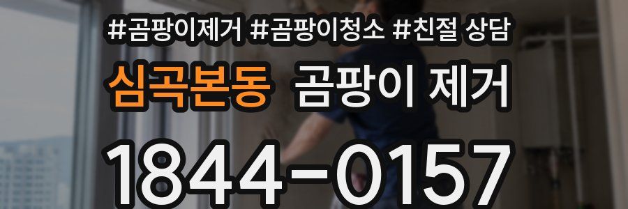 심곡본동 곰팡이 제거