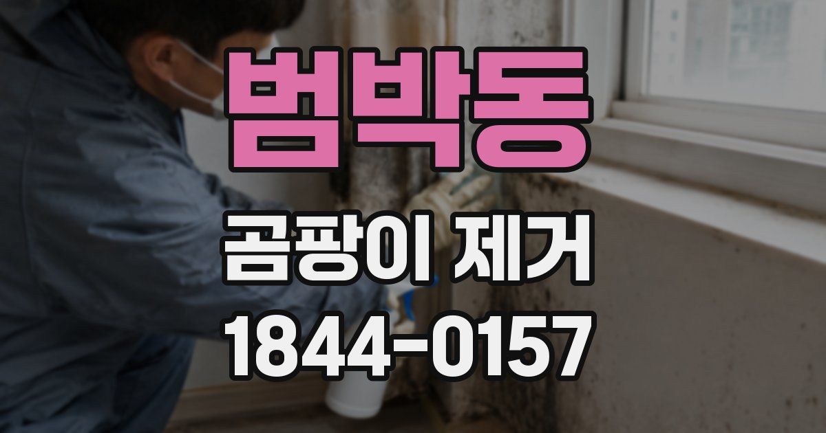 범박동 곰팡이 제거