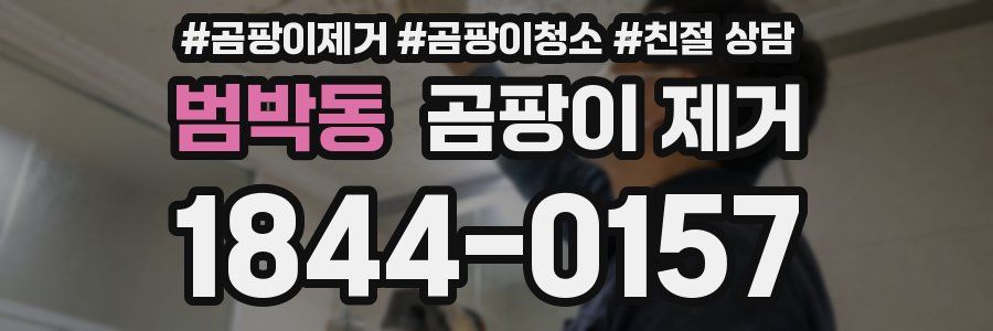 범박동 곰팡이 제거