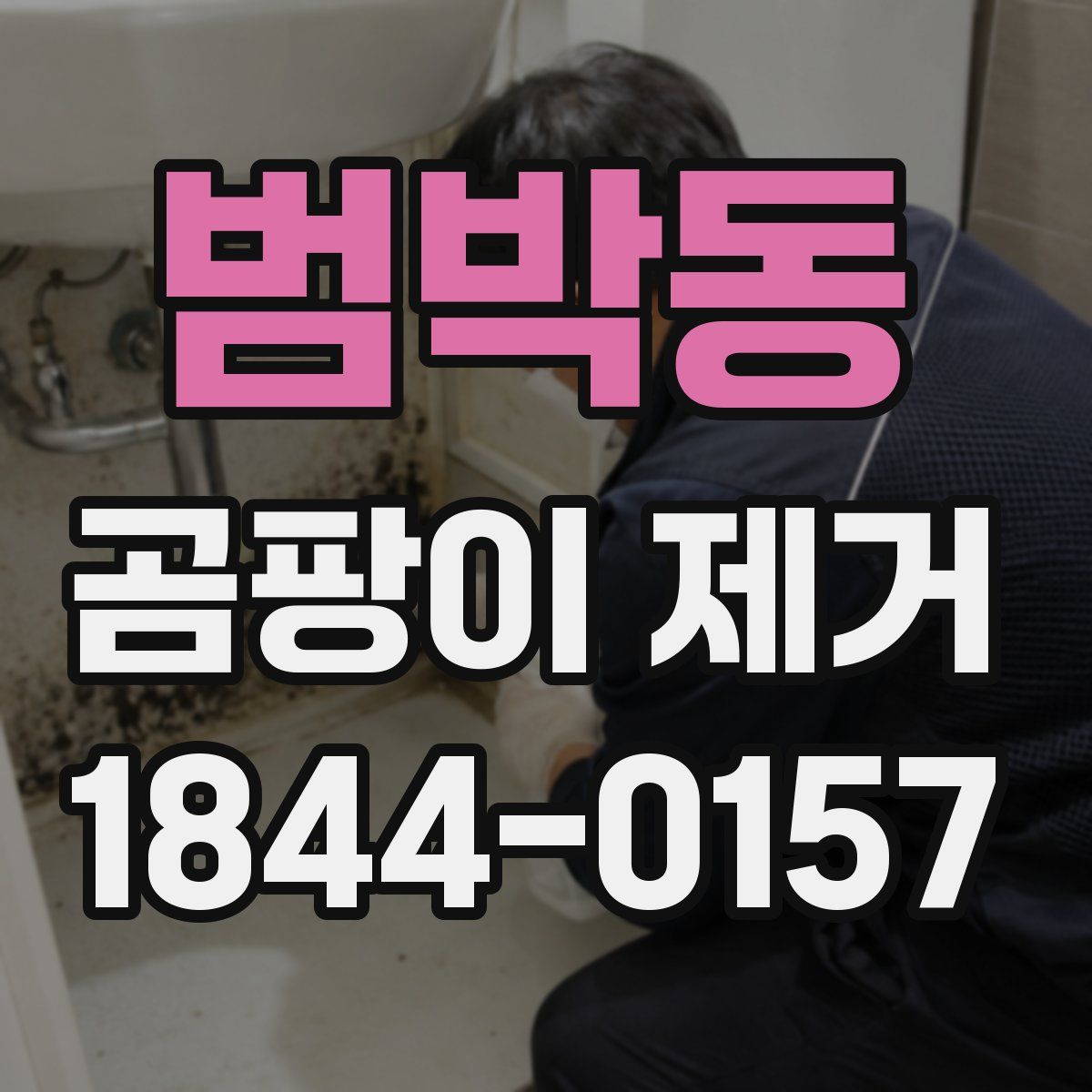 범박동 곰팡이 제거