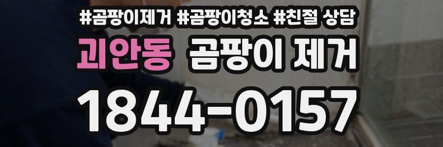 괴안동 곰팡이 제거