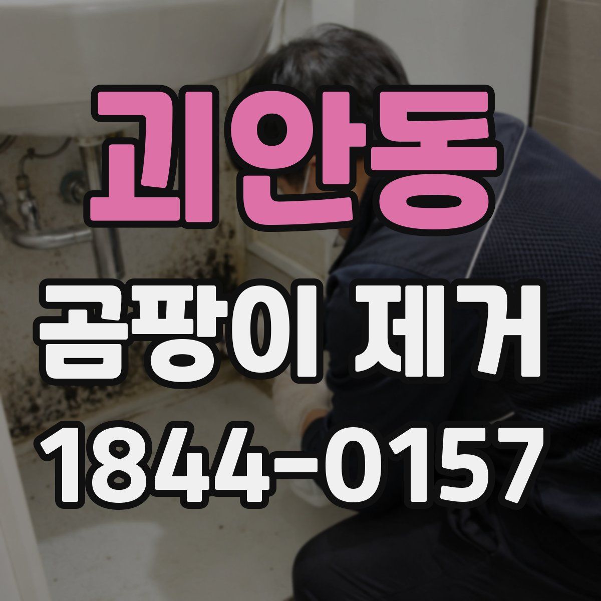 괴안동 곰팡이 제거