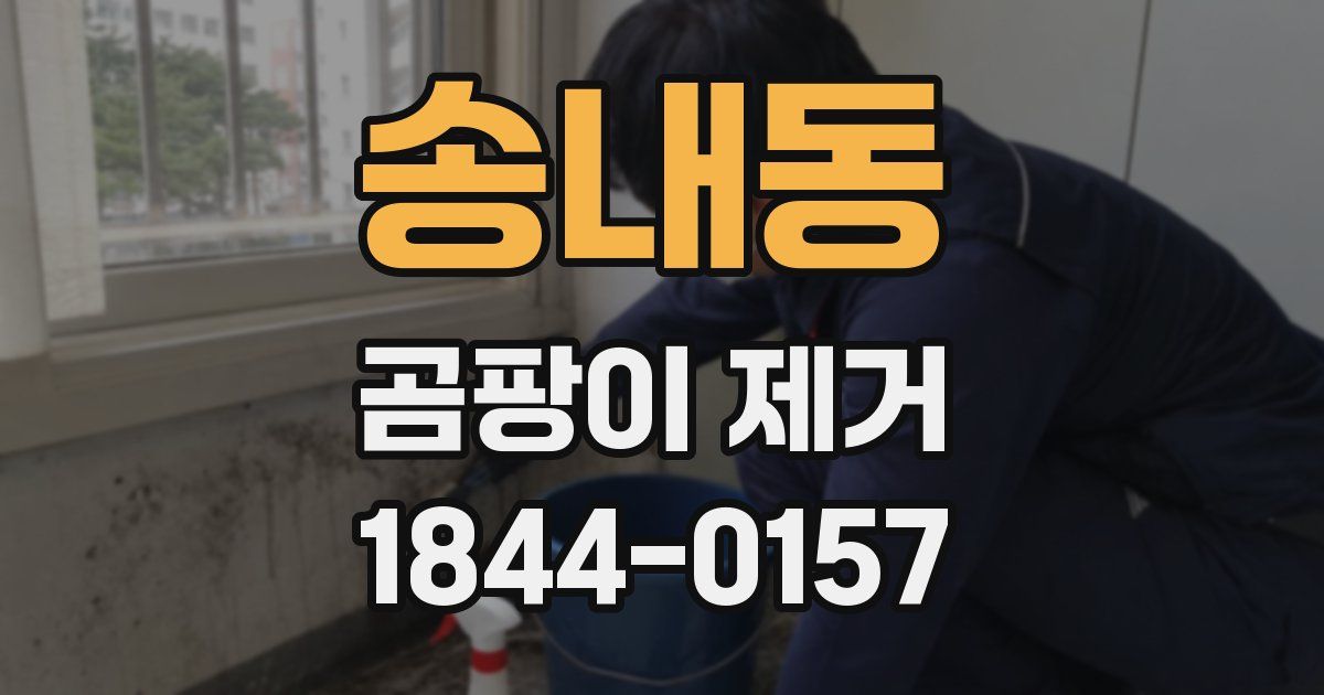 송내동 곰팡이 제거