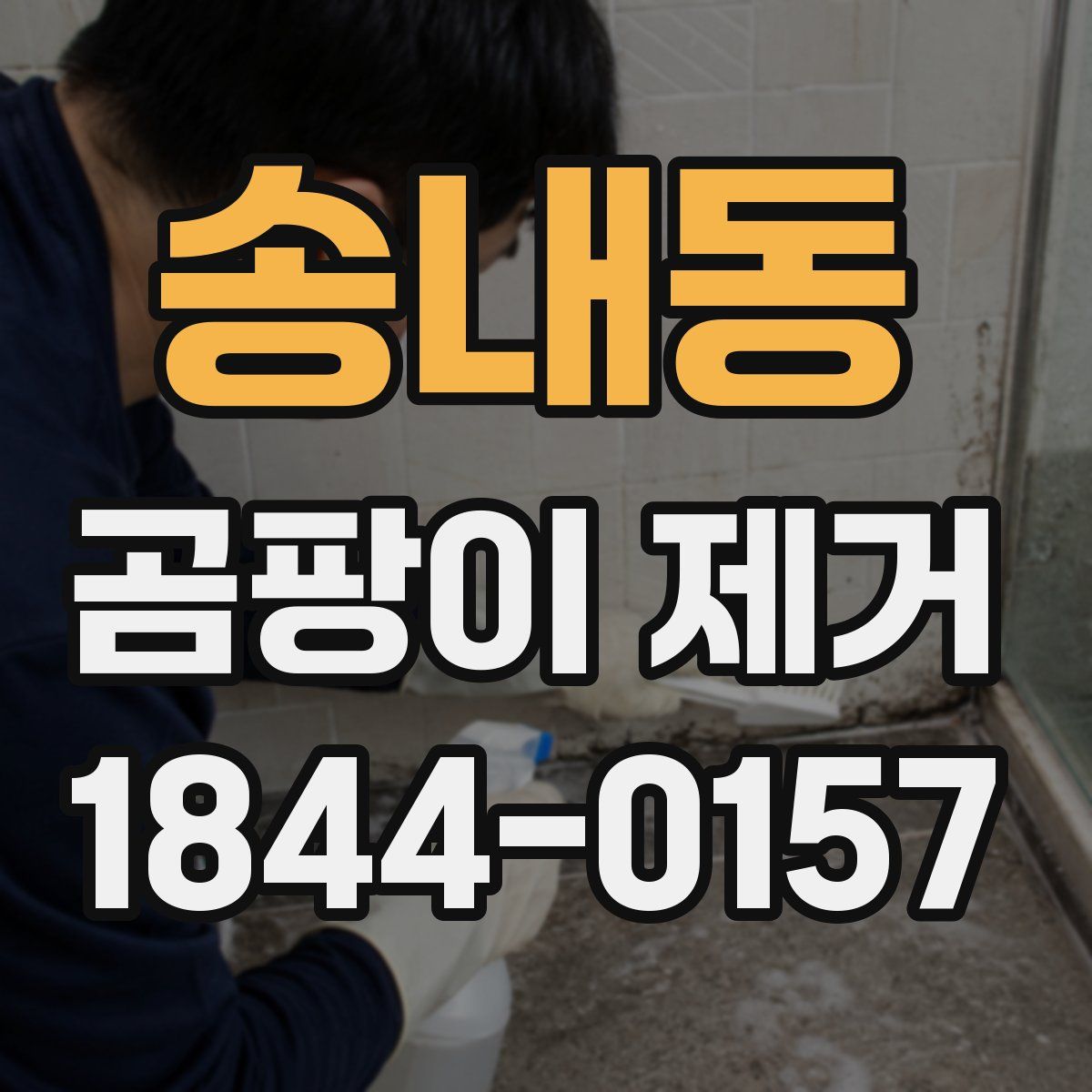 송내동 곰팡이 제거