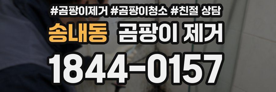 송내동 곰팡이 제거