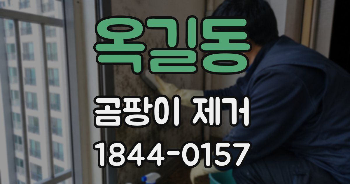 옥길동 곰팡이 제거