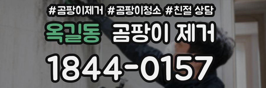 옥길동 곰팡이 제거
