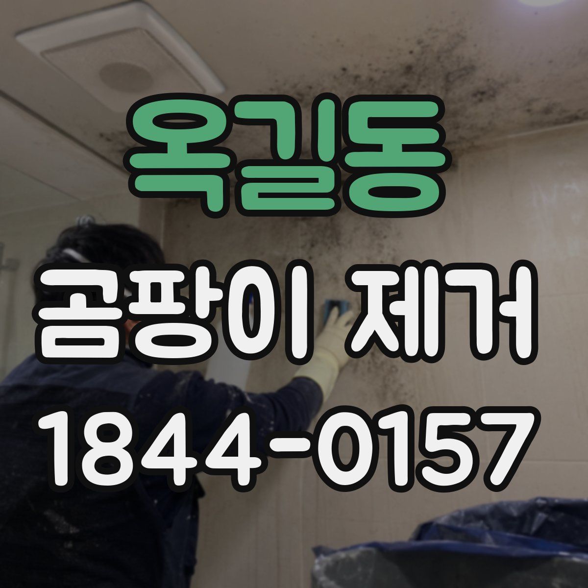 옥길동 곰팡이 제거