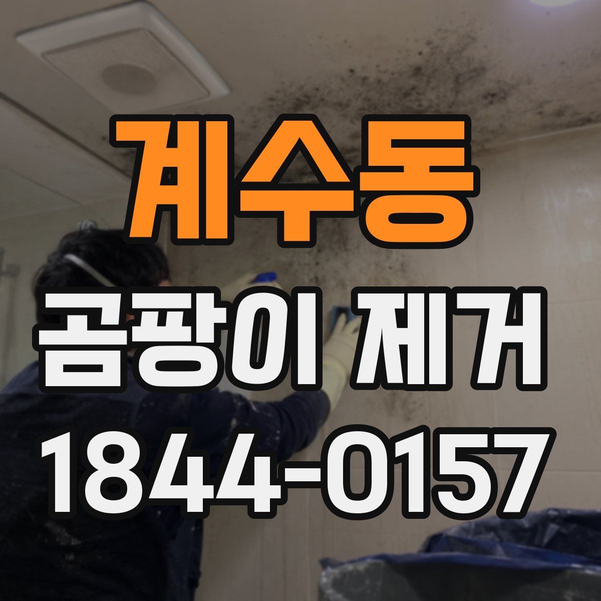 계수동 곰팡이 제거