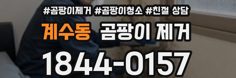 계수동 곰팡이 제거