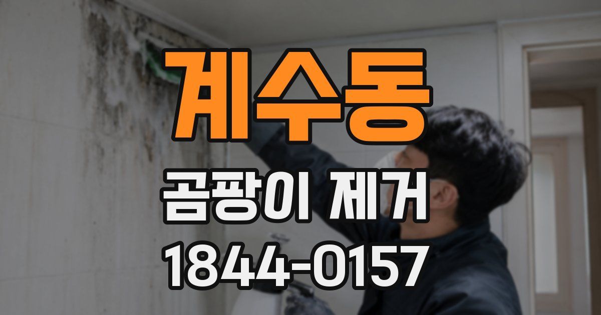 계수동 곰팡이 제거