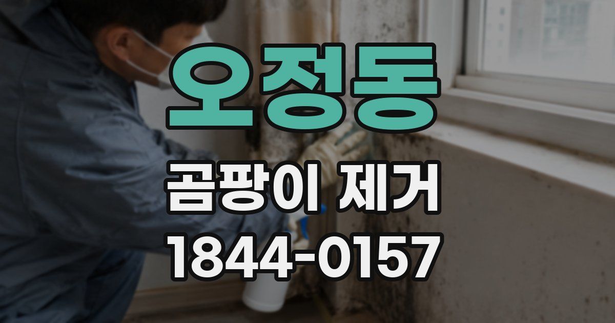오정동 곰팡이 제거