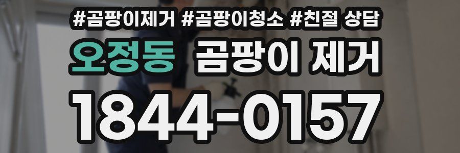 오정동 곰팡이 제거