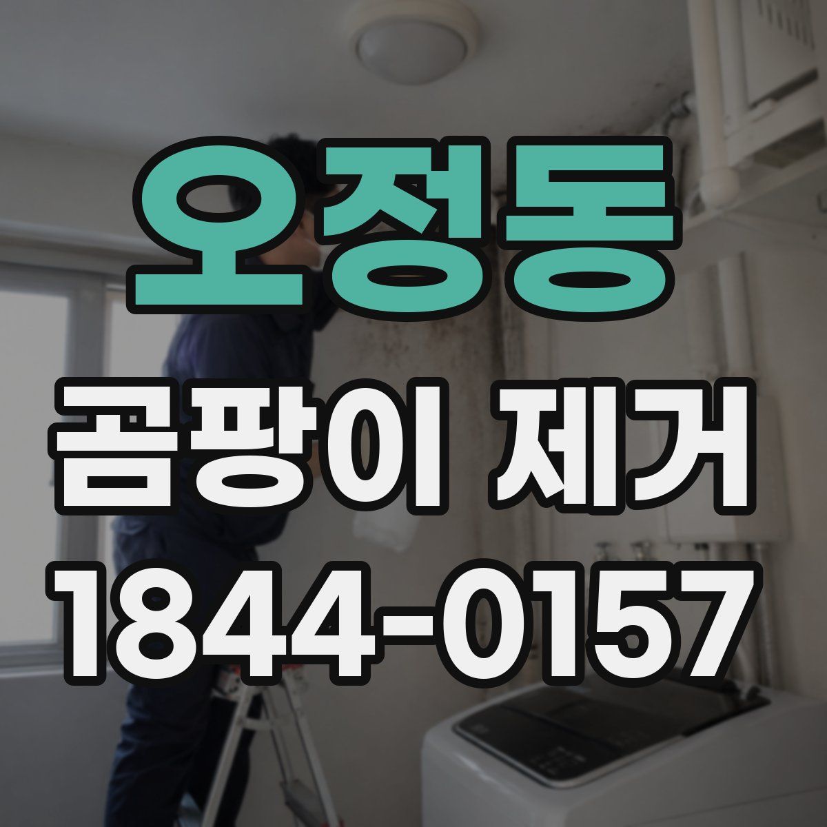오정동 곰팡이 제거