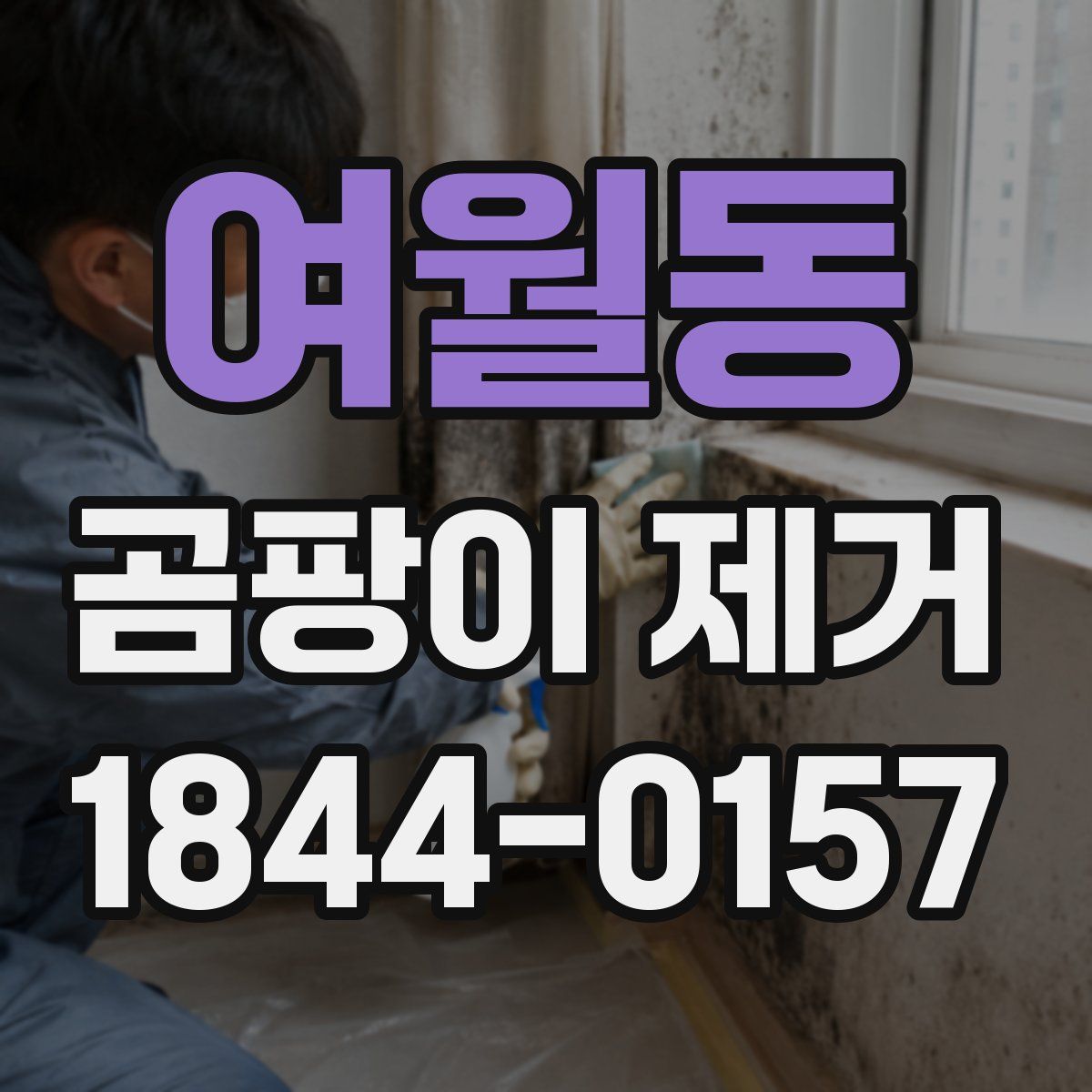 여월동 곰팡이 제거