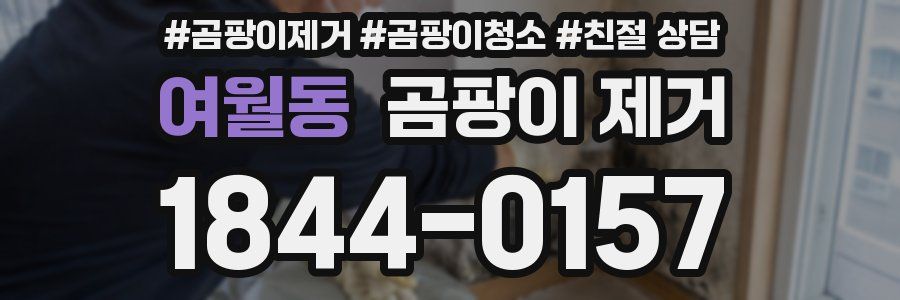 여월동 곰팡이 제거