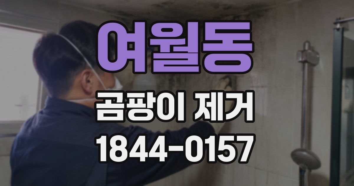여월동 곰팡이 제거