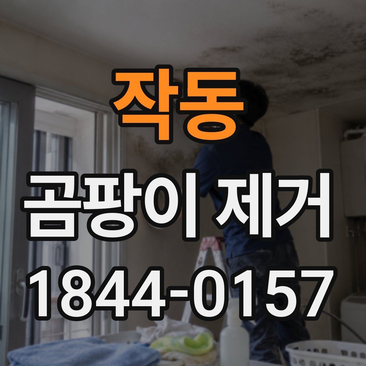 작동 곰팡이 제거 이웃집과 다른 우리 집 원인 찾기