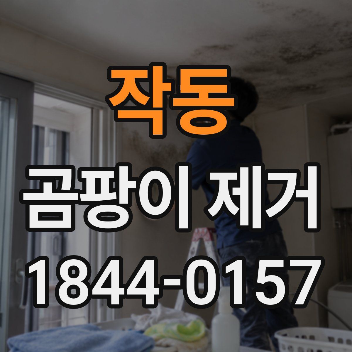 작동 곰팡이 제거
