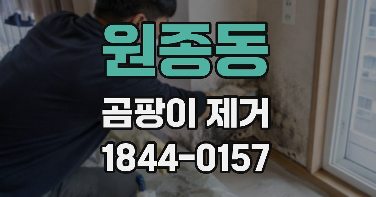 원종동 곰팡이 제거