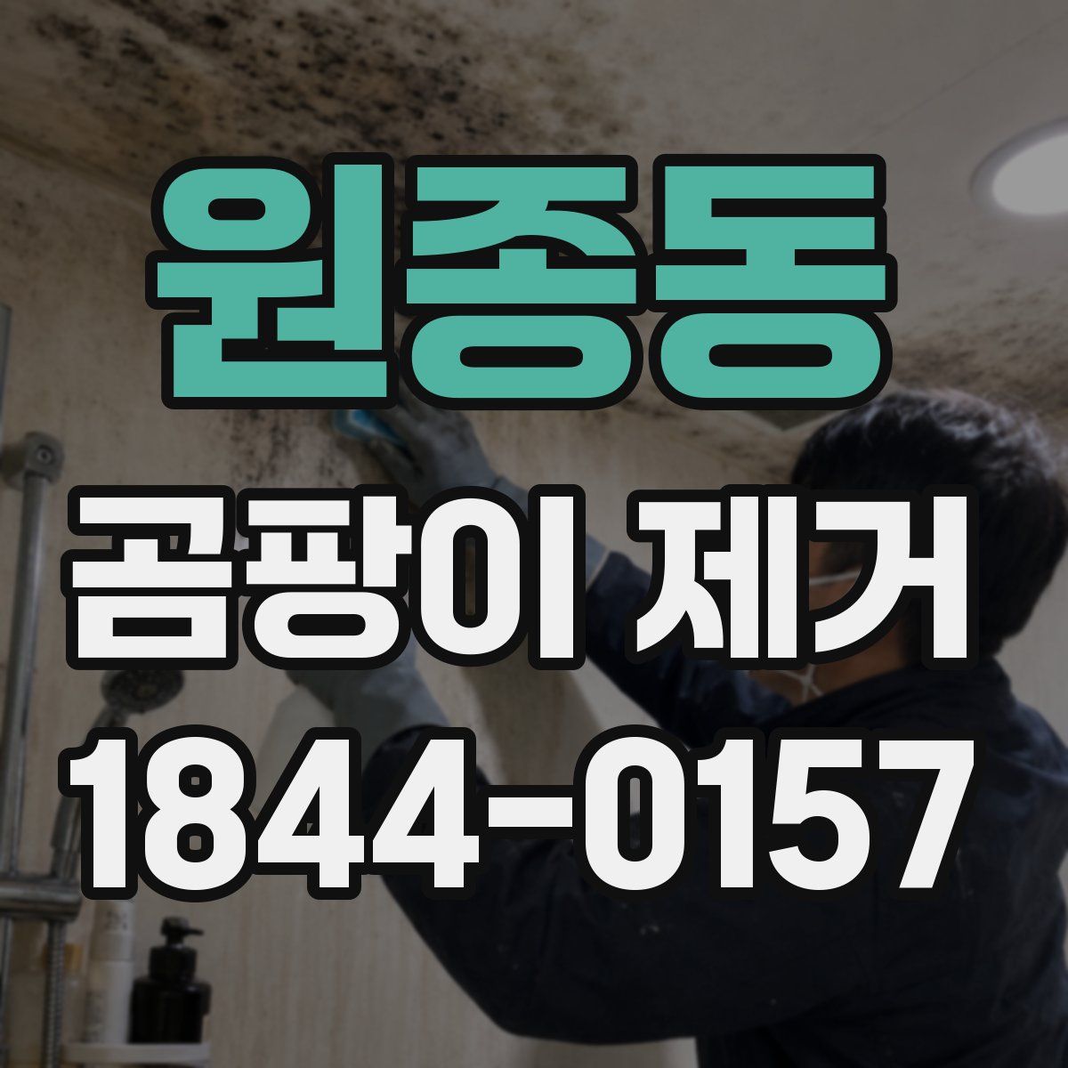 원종동 곰팡이 제거
