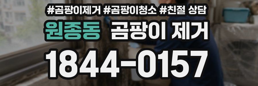 원종동 곰팡이 제거