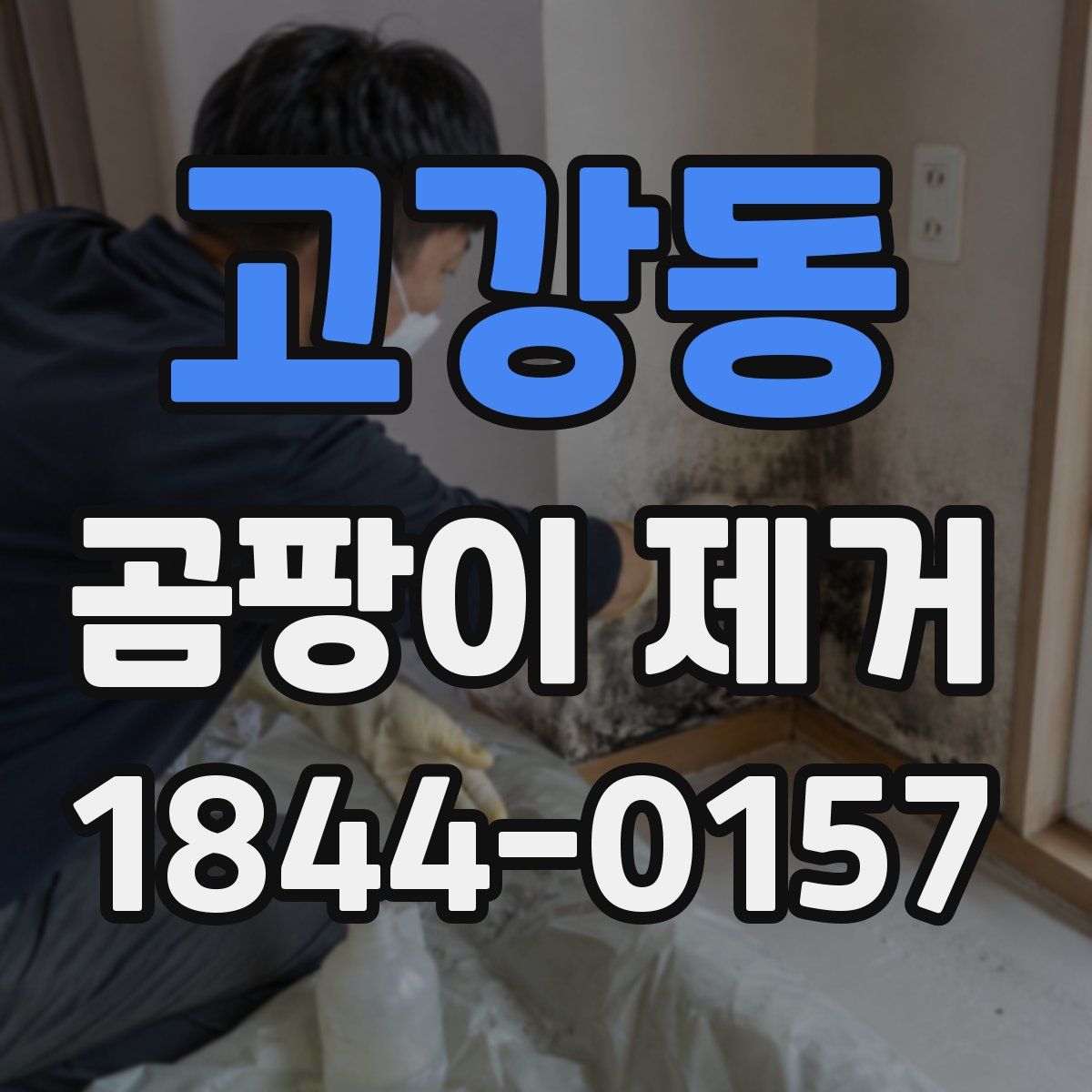 고강동 곰팡이 제거