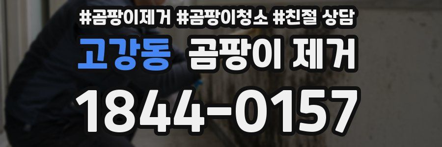 고강동 곰팡이 제거