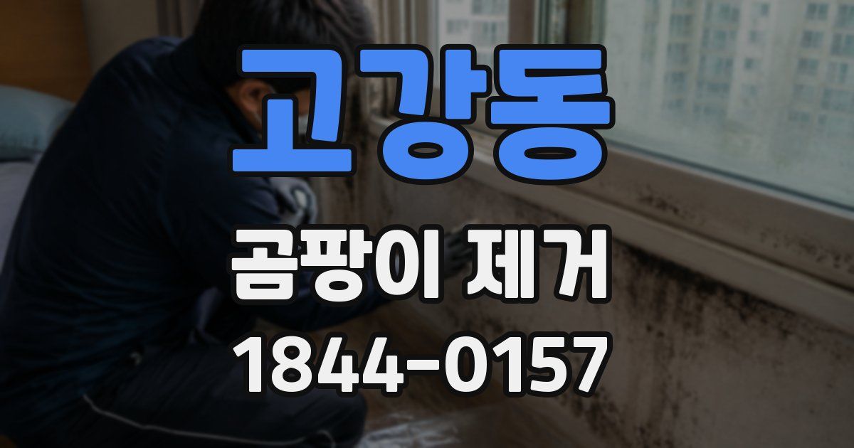 고강동 곰팡이 제거