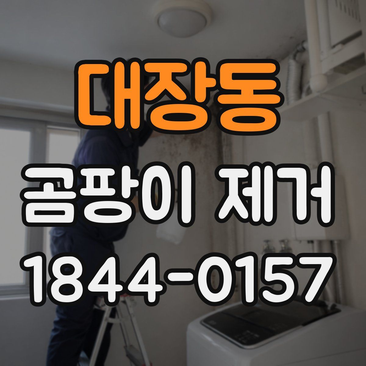 대장동 곰팡이 제거