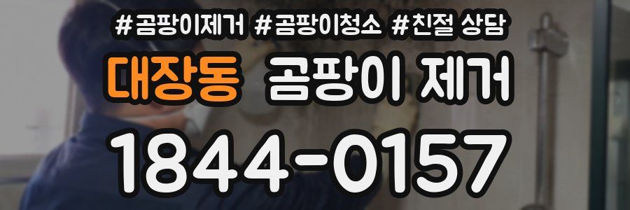 대장동 곰팡이 제거
