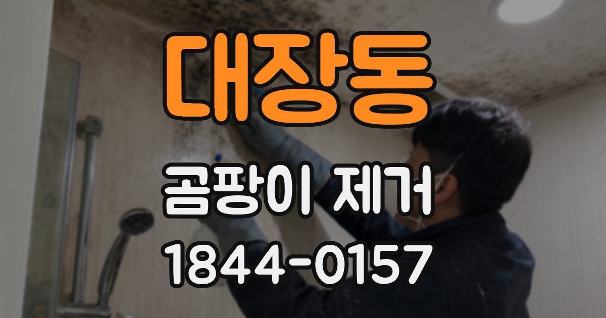 대장동 곰팡이 제거